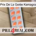 Prix De La Gelée Kamagra 26